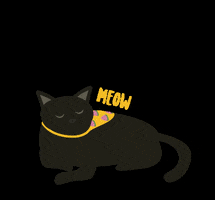 Cat GIF
