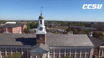 Blue Devil School GIF by Central Connecticut State University