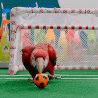 Here It Comes Soccer GIF by Jarritos