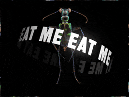 Hungry GIF