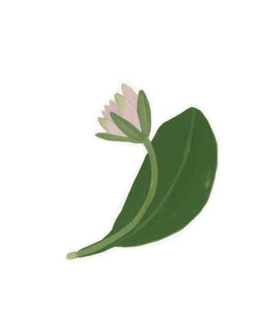 Фонд помощи хосписам «Вера» Sticker