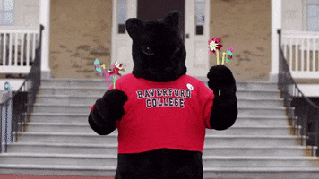 Dance Celebration GIF by Haverford College
