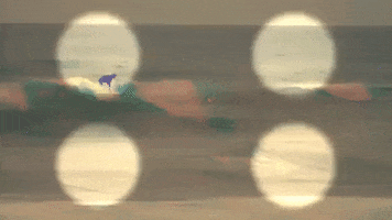200.gif?cid=fc005b08c5fc28465049c5cfbdb9167c8481ed4cd86c1959&rid=200.gif&ct=g