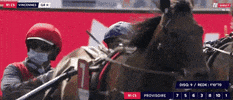 Jmb GIF