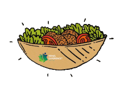 Ben Gurion Flag Sticker by Israelexperience