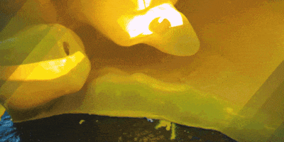 U-M College of LSA GIF