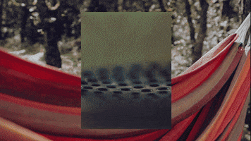 wonderfulwildwomen GIF