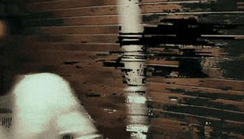 Rex GIF by 9thStRecords