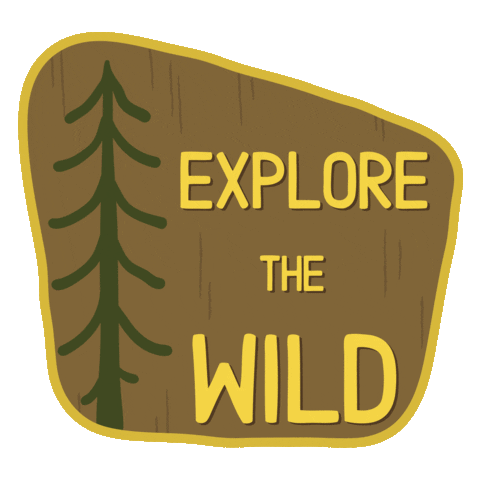 Travel Sticker