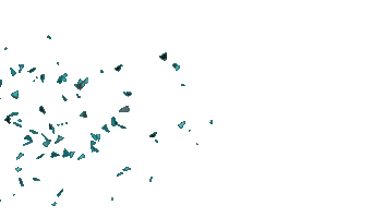 Roka Davet Sticker by Roka Comtr