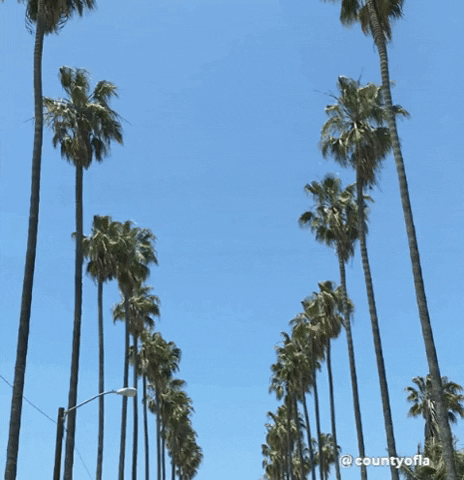 County of Los Angeles sky la los angeles hollywood GIF