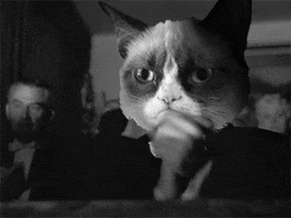 Digital art gif. Grumpy Cat has been edited on top of the face of a man in a suit. They are clapping enthusiastically but look unimpressed because of Grumpy Cat's permanent scowl.