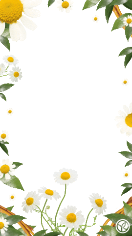 Flower Frame Sticker