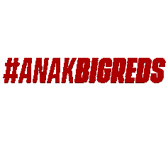 BIGREDS IOLSC Sticker