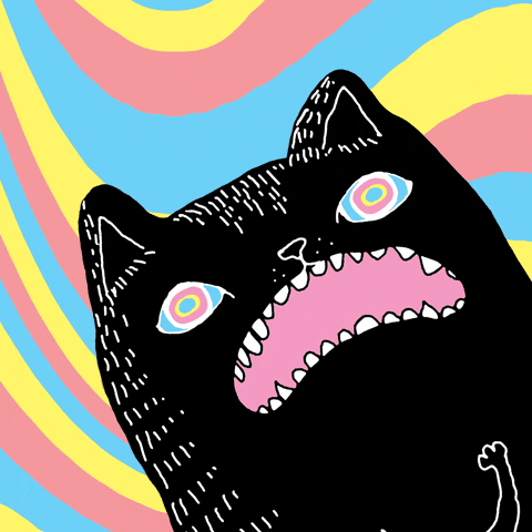 spaceshackph cat psychedelic space hungry GIF