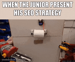 SEOwl GIF