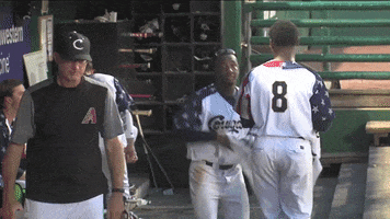 Ymca Gocougs GIF by Kane County Cougars