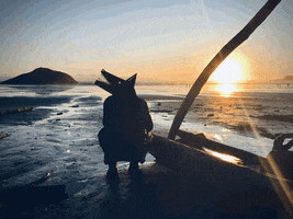 Trippy GIF