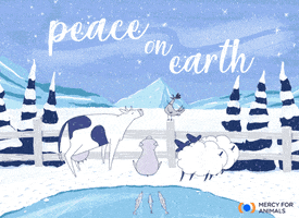 Peace On Earth Fish GIF by Mercy For Animals