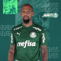 Looking Felipe Melo GIF by SE Palmeiras