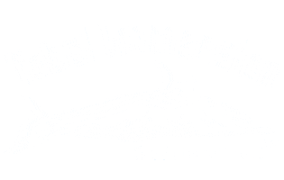 Total Immersion Israel Sticker
