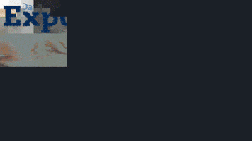 DataExport data export GIF