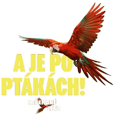 Barbora Poláková Nečekané Léto Sticker by falconfilmovenovinky