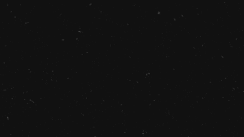 Ai GIF