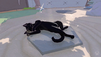Black Cat Sleeping GIF by Xbox