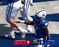 Kentucky Wildcats GIF