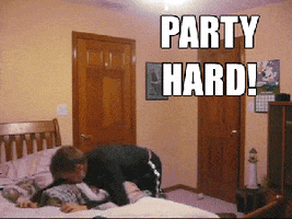 party hard GIF