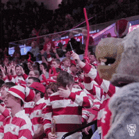 Wolfpack GIF by NC State Athletics
