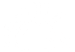 Associazione Passopasso Sticker