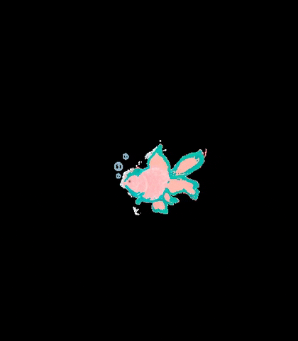 Fish Peixe Pices GIF