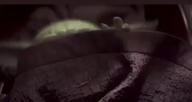 yoda baby yoda mandalorian babyyoda GIF