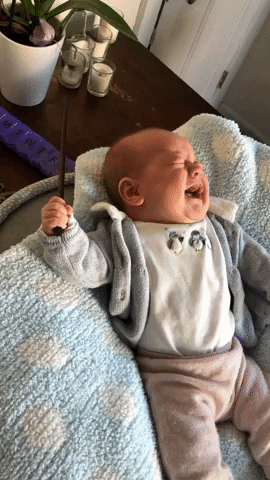 Baby GIF