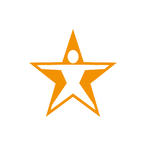 Star Gym Sticker by body fit