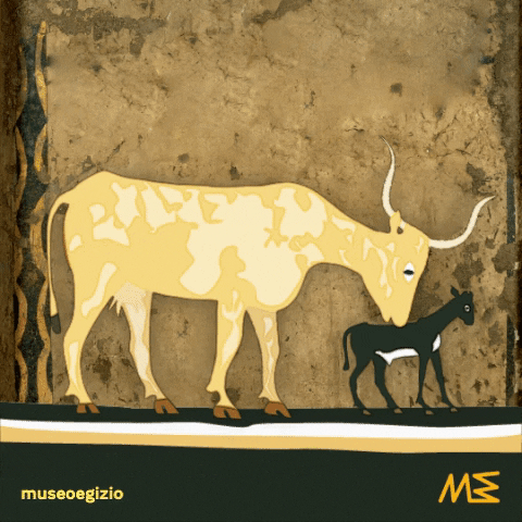 Museo Egizio GIF