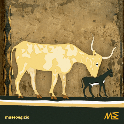 MuseoEgizio kiss kisses cow mothersday GIF