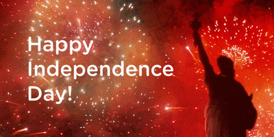 Independence Day GIF by DKMS US
