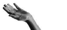 Hand Sticker