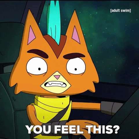 Final Space Cat GIF by Adult Swim