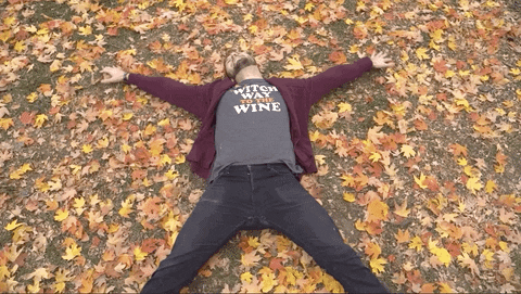 First Snow Fall GIFs - Get the best GIF on GIPHY