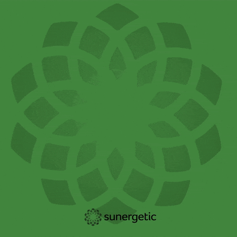 Suner GIF by Sunergetic