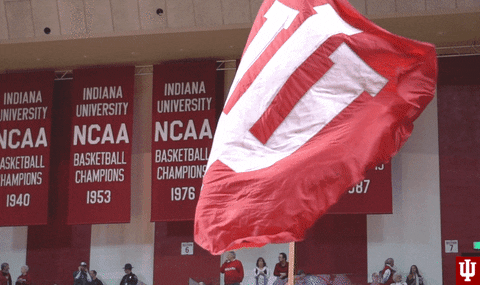 Indiana University GIFs - Get the best GIF on GIPHY