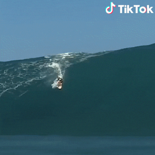 Surf Fail GIF by TikTok Italia Find & Share on GIPHY