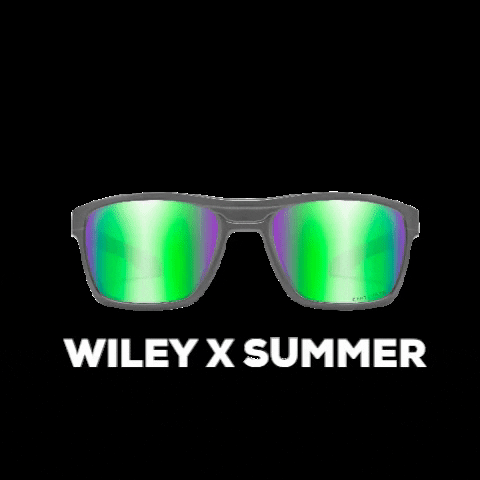 Sunglasses GIF by Wiley X EMEA