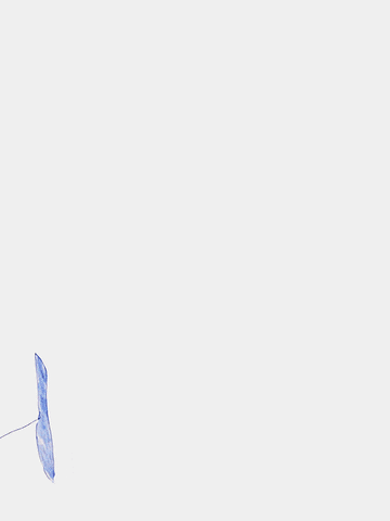 Kidsart GIF by Not So Scary