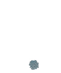7 - Transparent Animated Sparkle Gif PNG Transparent With Clear Background  ID 194142 png - Free PNG Images, gif png transparent 