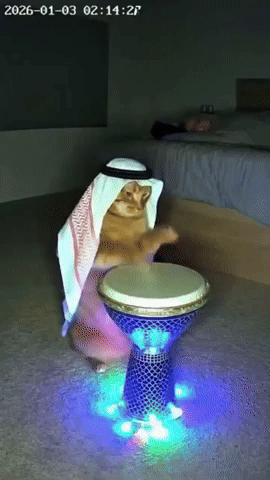 Arabic Meme GIF